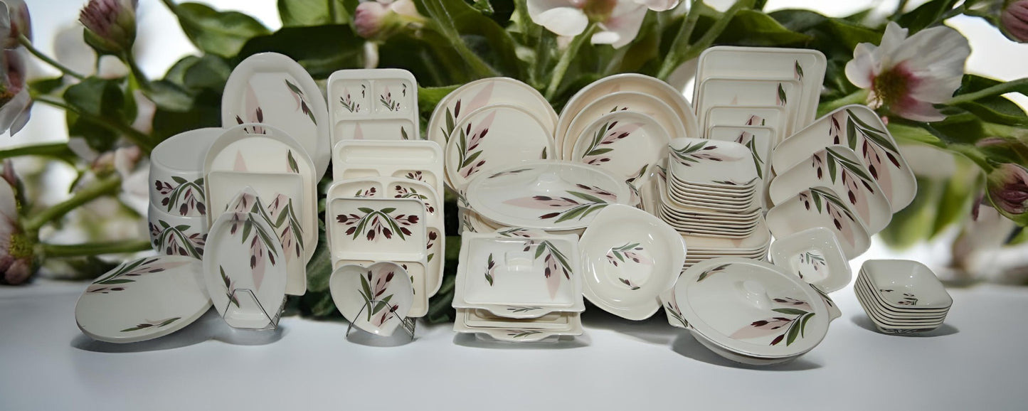 Leaf & flower box packed Melamine dinner set