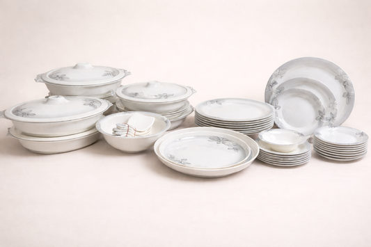 DinePro 50 PCS Dinner Set